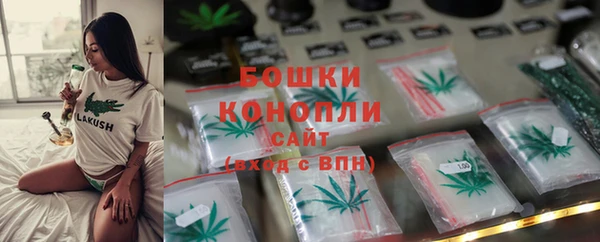 крисы Лагань