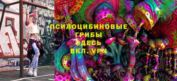 крисы Лагань