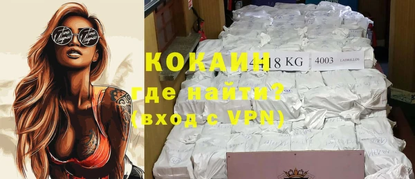 крисы Лагань