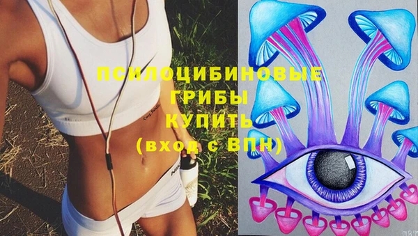 крисы Лагань
